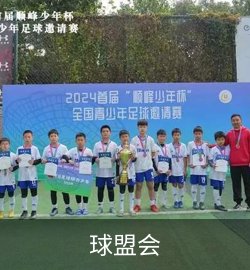 案例球盟会